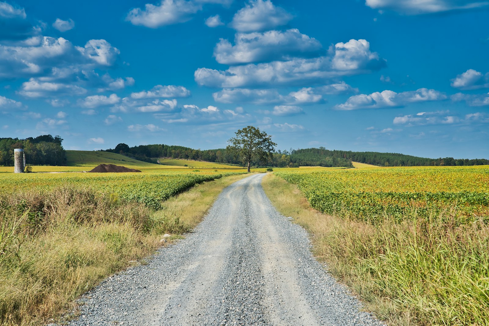 A gravel road cutting through farmland, the kind of shared access route an easement in real estate often protects