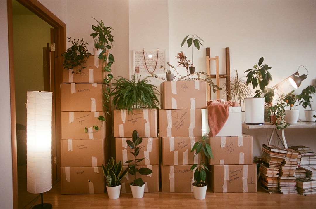 Packed moving boxes ready for a cash for keys move-out from a rental house
