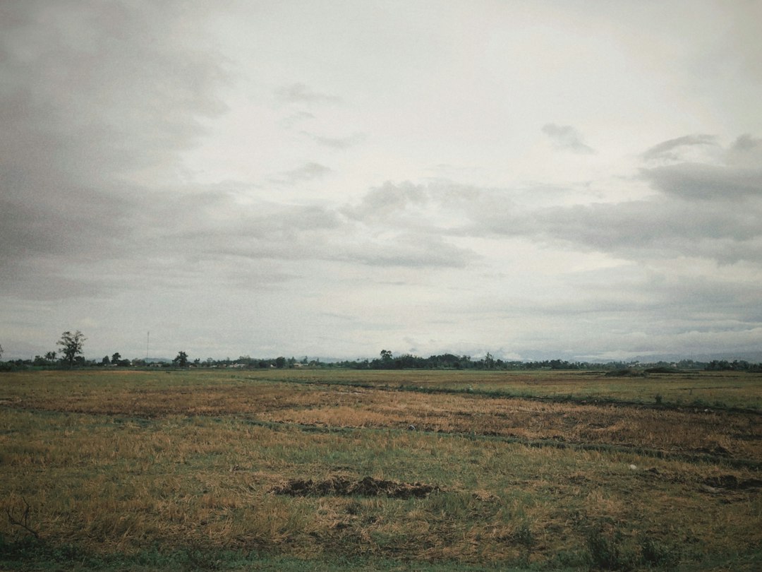 Large open field an investor could control with an option contract in real estate