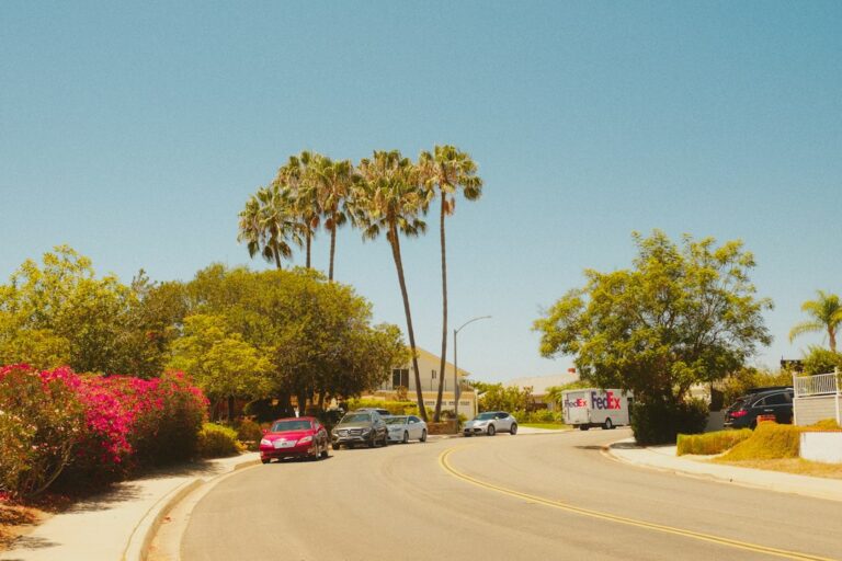 Palm trees along a sunny suburban street, where many homes move through the California foreclosure timeline