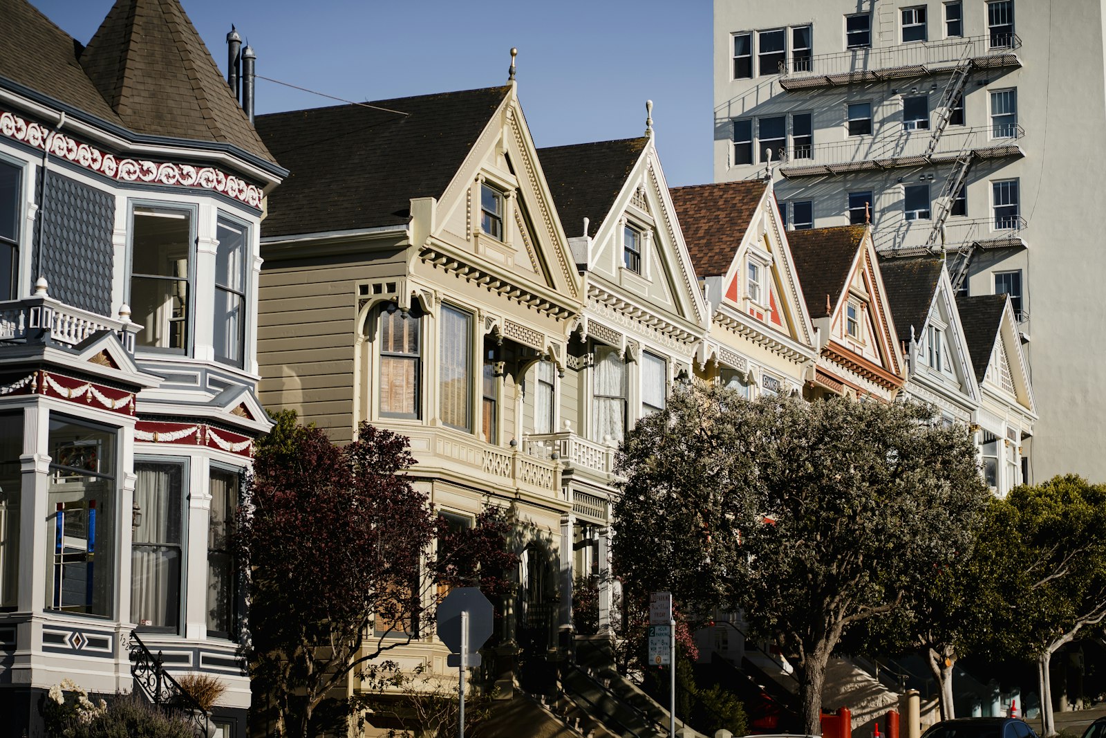 Row of Victorian houses, the kind of land trust real estate investors hold privately