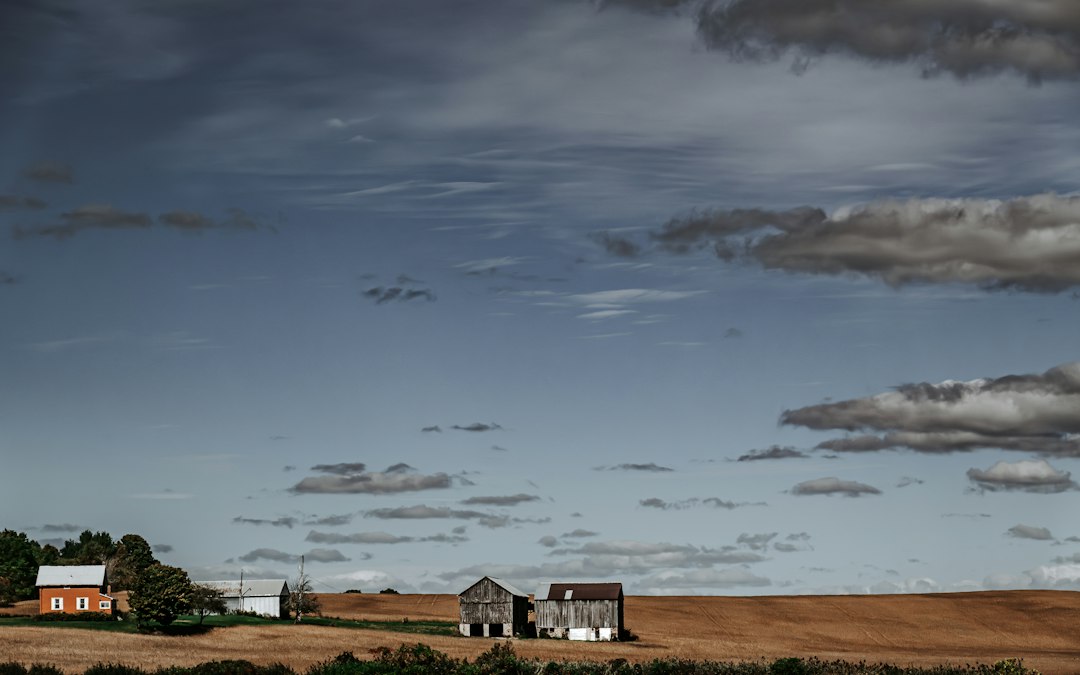 Rural family farm under a cool sky, a common example of heirs property passed down without probate